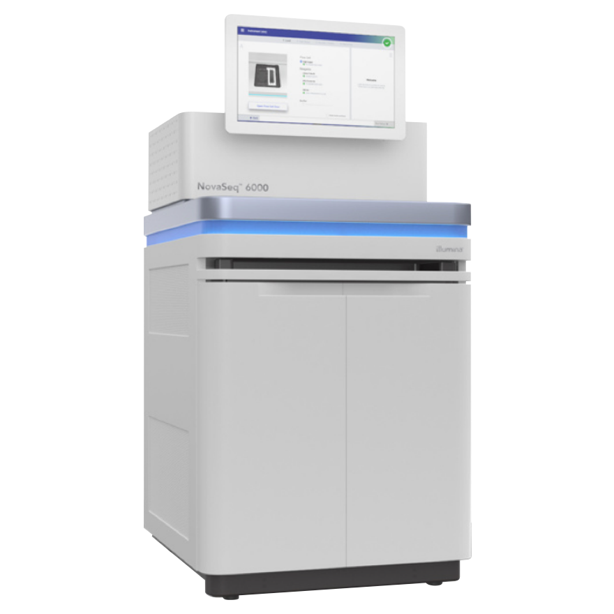Novaseg 6000(llumina)